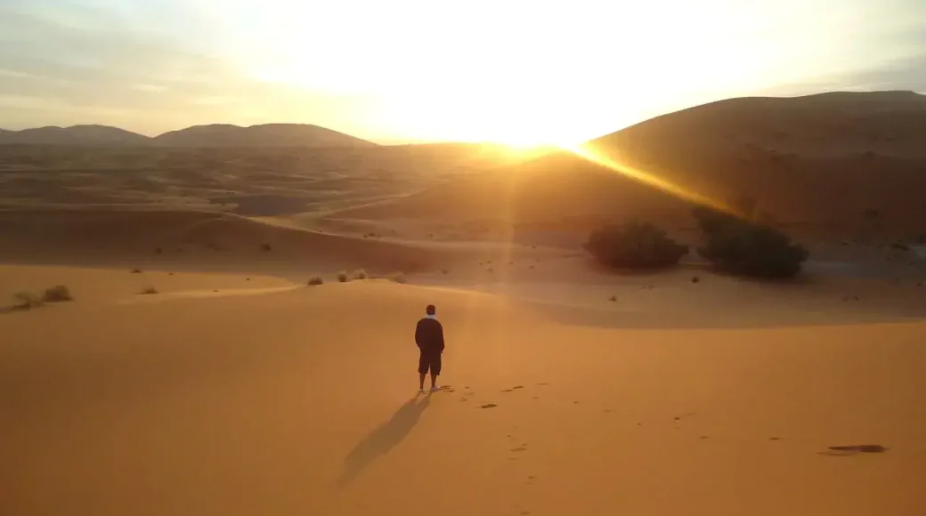 Independência ou Vida: Uma Reflexão sobre a Dependência em Deus