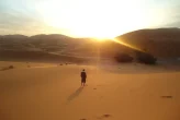Independência ou Vida: Uma Reflexão sobre a Dependência em Deus