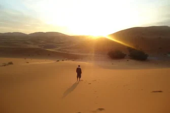 Independência ou Vida: Uma Reflexão sobre a Dependência em Deus